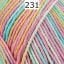 231C