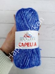 Himalaya ihracat fazlası capella 06