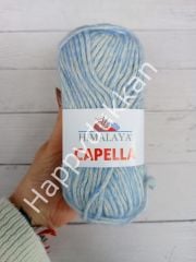 Himalaya ihracat fazlası capella 07