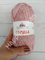 Himalaya ihracat fazlası capella 21