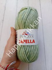 Himalaya ihracat fazlası capella 28